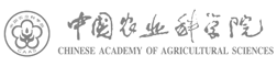 caas_logo-grey_white
