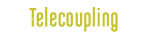 Logo Telecoupling Brazil
